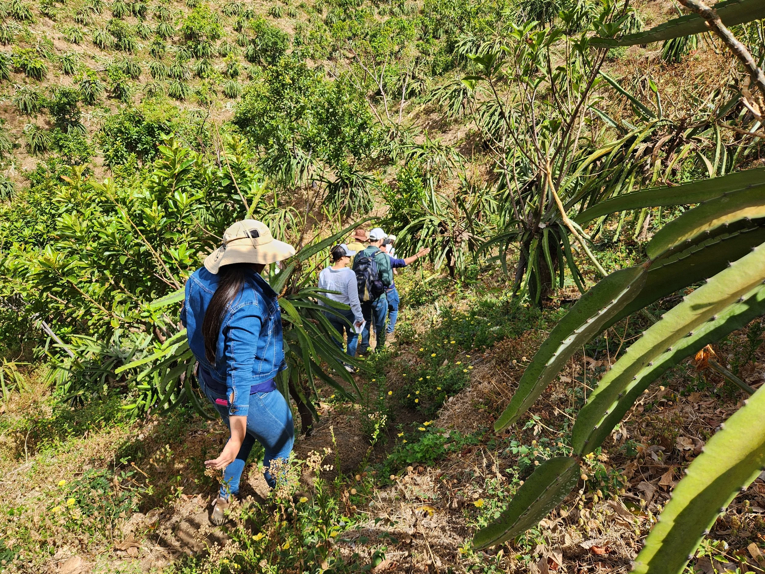 Farmers walking through cultivated land in Nicaragua